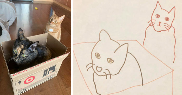 Bad-Pet-Drawings-Wisconsin-Humane-Society-Donation