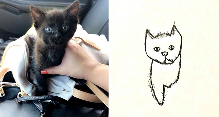 Bad-Pet-Drawings-Wisconsin-Humane-Society-Donation