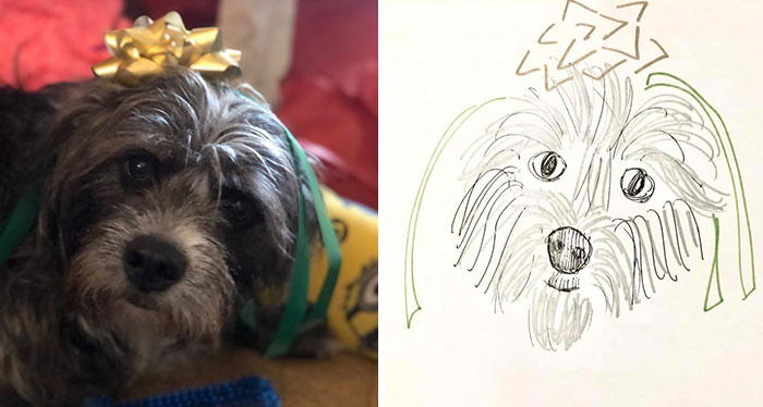 Bad-Pet-Drawings-Wisconsin-Humane-Society-Donation