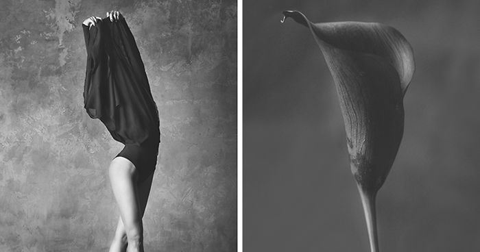 This Photographer Created An Amazing Photo Series Comparing Ballerinas And Flowers