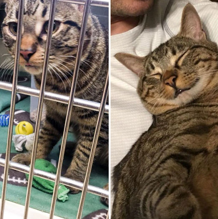 From “Take Me Home” To “Never Let Me Go”. We Adore Our Little Dude