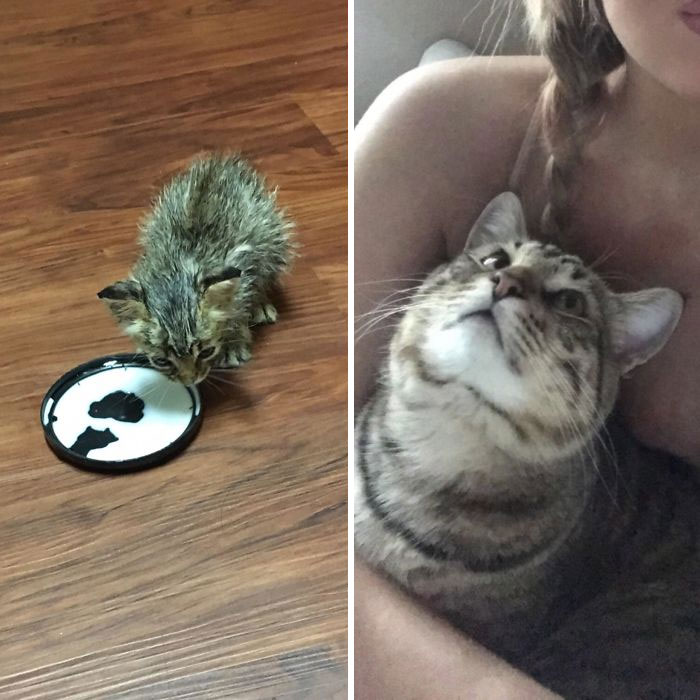 Found Him Under A House Covered In Fleas, Malnourished, Without A Mom. One Year Later He's A Happy Healthy Little Guy