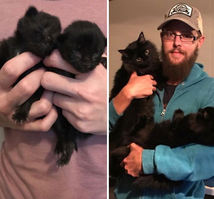 I Found These Two Babies Under My House One Year Ago. It Was Freezing Cold Outside So I Took Them Inside And Learned How To Care For Them. One Year Later They’re Happy And Healthy (And Huge)!