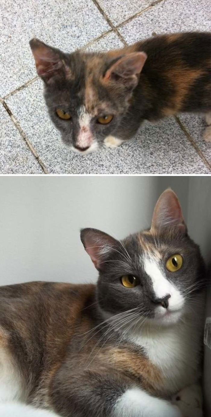 My Girl Zoe, The Day I Found Her In The Street And Now, Two Years Later