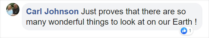 Video Captures A Blanket Octopus Revealing Its 6-Foot-Long Membrane And It Looks Like A Majestic Sea Butterfly Video Captures A Blanket Octopus Revealing Its 6-Foot-Long Membrane And It Looks Like A Majestic Sea Butterfly