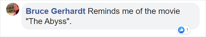 Video Captures A Blanket Octopus Revealing Its 6-Foot-Long Membrane And It Looks Like A Majestic Sea Butterfly Video Captures A Blanket Octopus Revealing Its 6-Foot-Long Membrane And It Looks Like A Majestic Sea Butterfly