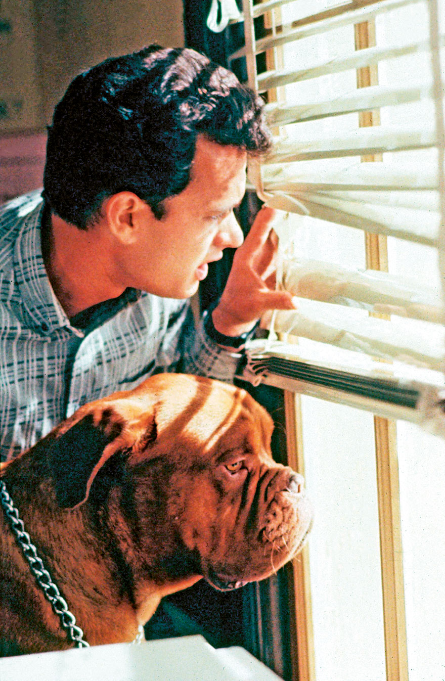 Hooch (Dogue De Bordeaux), Turner & Hooch, 1989