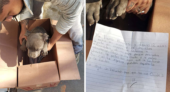 “Here Is A Toy So He Won’t Forget Me”: Boy Leaves His Helpless Puppy At A Shelter So His Dad Can’t Beat It