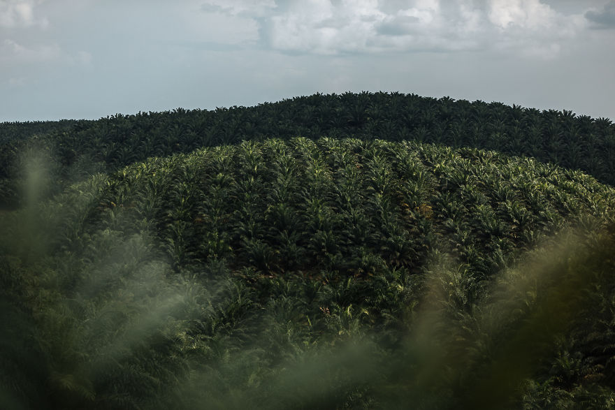 We Live In An Old Military Truck And Travel The World To Show Our Son The Beauty Of Our Planet (New Pics) We Live In An Old Military Truck And Travel The World To Show Our Son The Beauty Of Our Planet (New Pics)