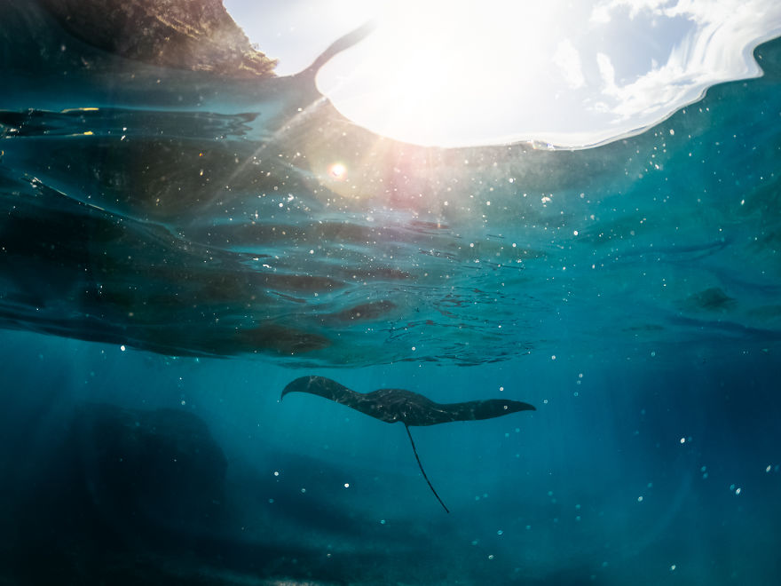 We Live In An Old Military Truck And Travel The World To Show Our Son The Beauty Of Our Planet (New Pics) We Live In An Old Military Truck And Travel The World To Show Our Son The Beauty Of Our Planet (New Pics)