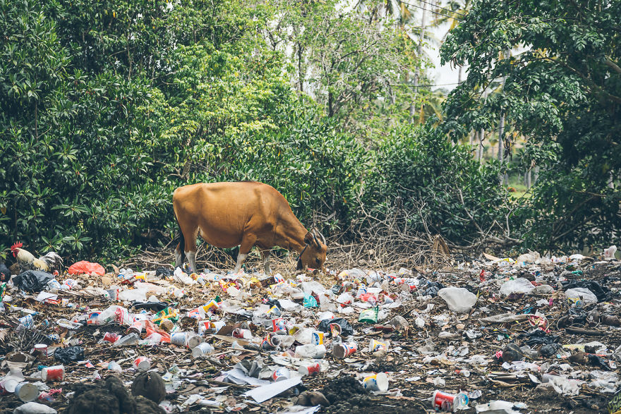 We Live In An Old Military Truck And Travel The World To Show Our Son The Beauty Of Our Planet (New Pics) We Live In An Old Military Truck And Travel The World To Show Our Son The Beauty Of Our Planet (New Pics)