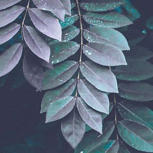 oona-matilda-rantala avatar