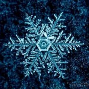 snowflake_2 avatar