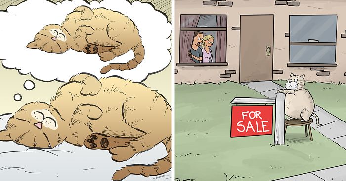 35 Comics That Cat Owners Will Relate To, Inspired By My Cat