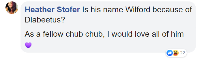 28-Pound Cat Brought To Shelter Starts Weight Loss Journey After Losing His Home