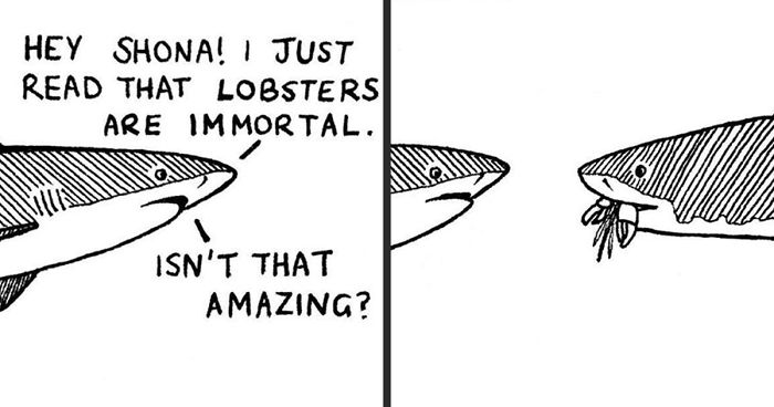 Here Are Our 30 Best Comics That Depict The Snarky Conversations Between Sharks And Other Aquatic Life