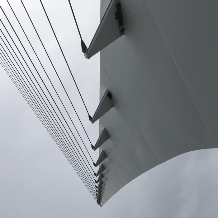 I Share All That Can Be Seen Through My Eyes