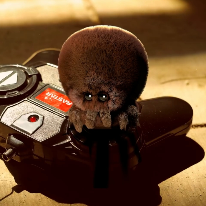 I Tell Spider Loo & Boo Stories From The Children’s Eyes