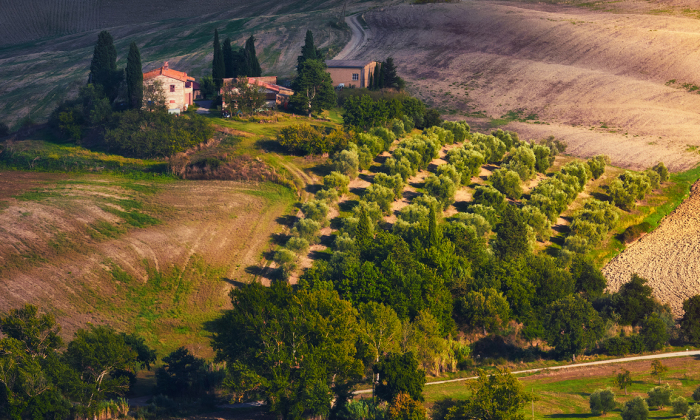 Amazing Undulating Land — Tuscany Through My Eyes