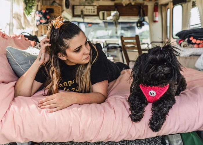 The Life Of A Girl, Her Dog, And Little Blue Bus