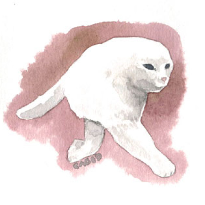 I Made Some Meme Cats Watercolors Because I Love Them