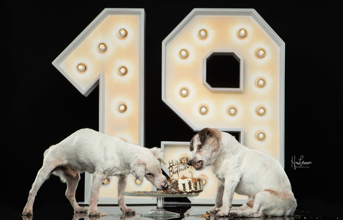19-Year-Old Jack Russell Brothers Celebrate Their Birthday In Style