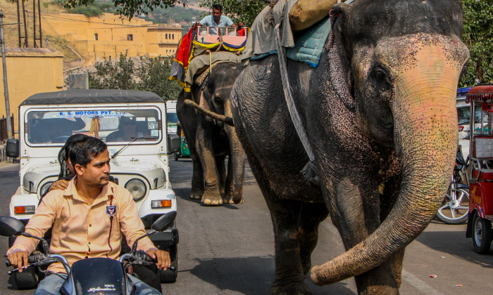 12 Pictures Of Traffic In India That Might Make You Rethink Your Traffic Problems