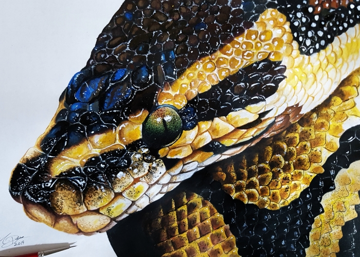 I Create These Realistic Acrylic Paintings (10 Pics)