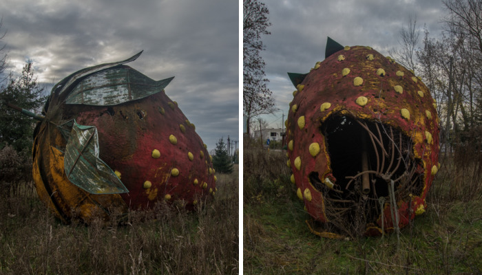 I Found A Large Abandoned Strawberry In Poland
