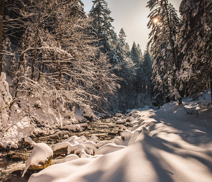 I’ve Got Lost In The Winter Wonderland And Captured These Photographs (14 Pics)
