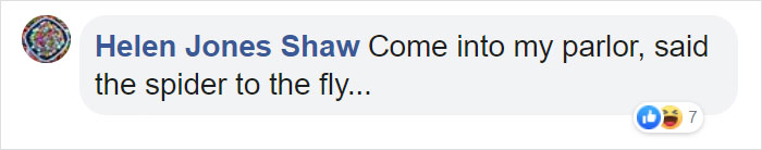 Watch An Impatient Coyote Hurrying His Slow-Moving Badger Friend Up So They Can Check Out A Tunnel Together