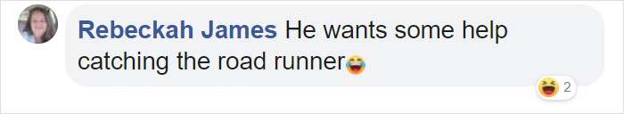 Watch An Impatient Coyote Hurrying His Slow-Moving Badger Friend Up So They Can Check Out A Tunnel Together