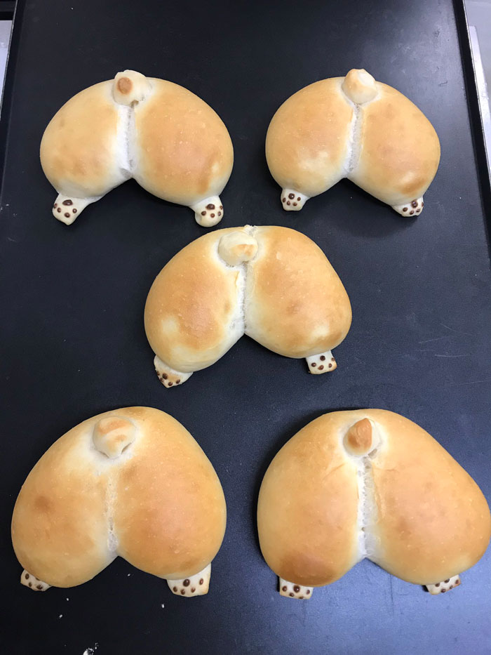 These Corgi Butt Buns Filled With Apple Jelly And Custard Are Going Viral These Corgi Butt Buns Filled With Apple Jelly And Custard Are Going Viral