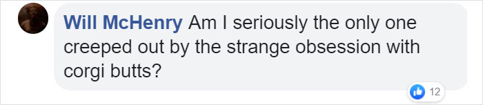 These Corgi Butt Buns Filled With Apple Jelly And Custard Are Going Viral