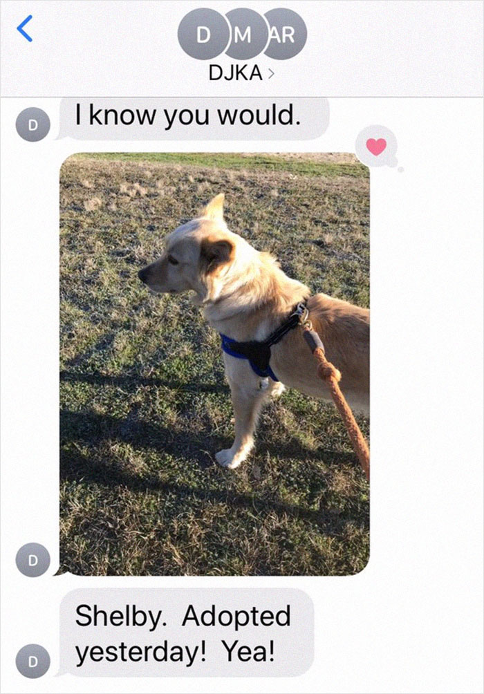 Retired Dad Walks Dogs In An Animal Shelter, Sends Bios Of Each One To His Daughter, People Adore Him