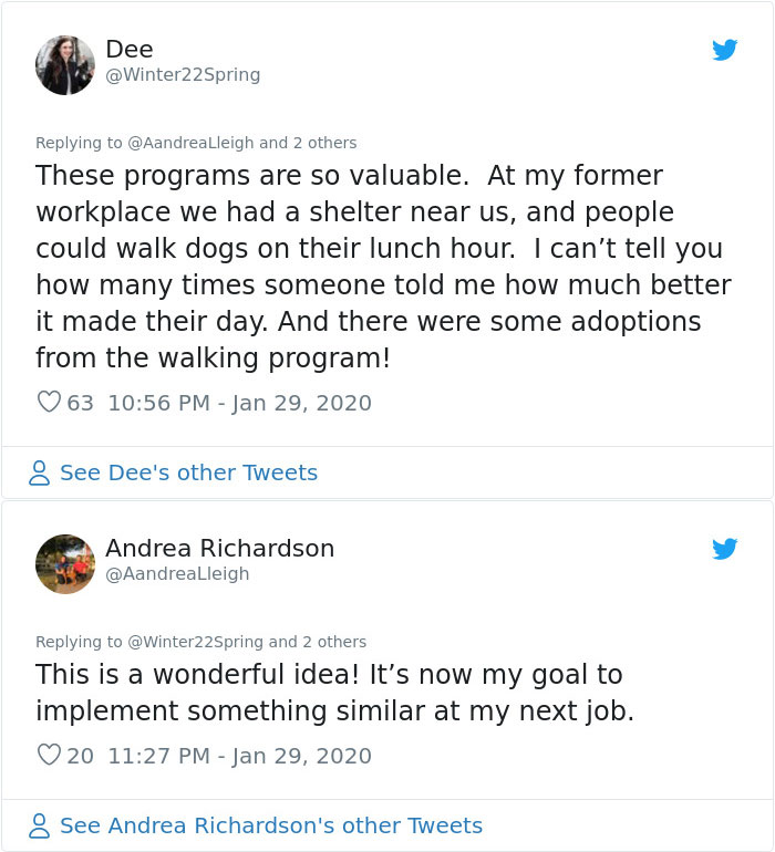 Retired Dad Walks Dogs In An Animal Shelter, Sends Bios Of Each One To His Daughter, People Adore Him