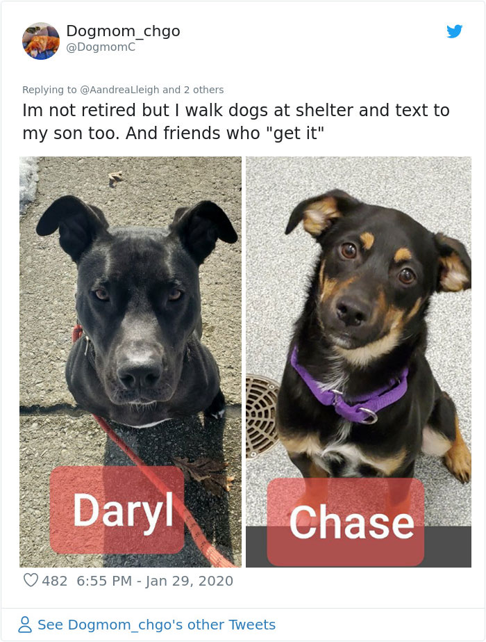 Retired Dad Walks Dogs In An Animal Shelter, Sends Bios Of Each One To His Daughter, People Adore Him Retired Dad Walks Dogs In An Animal Shelter, Sends Bios Of Each One To His Daughter, People Adore Him