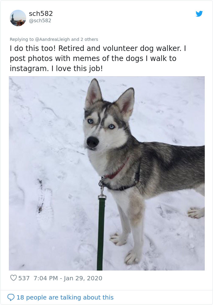 Retired Dad Walks Dogs In An Animal Shelter, Sends Bios Of Each One To His Daughter, People Adore Him Retired Dad Walks Dogs In An Animal Shelter, Sends Bios Of Each One To His Daughter, People Adore Him