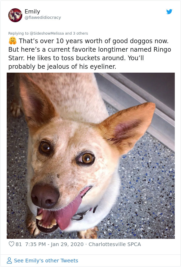 Retired Dad Walks Dogs In An Animal Shelter, Sends Bios Of Each One To His Daughter, People Adore Him Retired Dad Walks Dogs In An Animal Shelter, Sends Bios Of Each One To His Daughter, People Adore Him