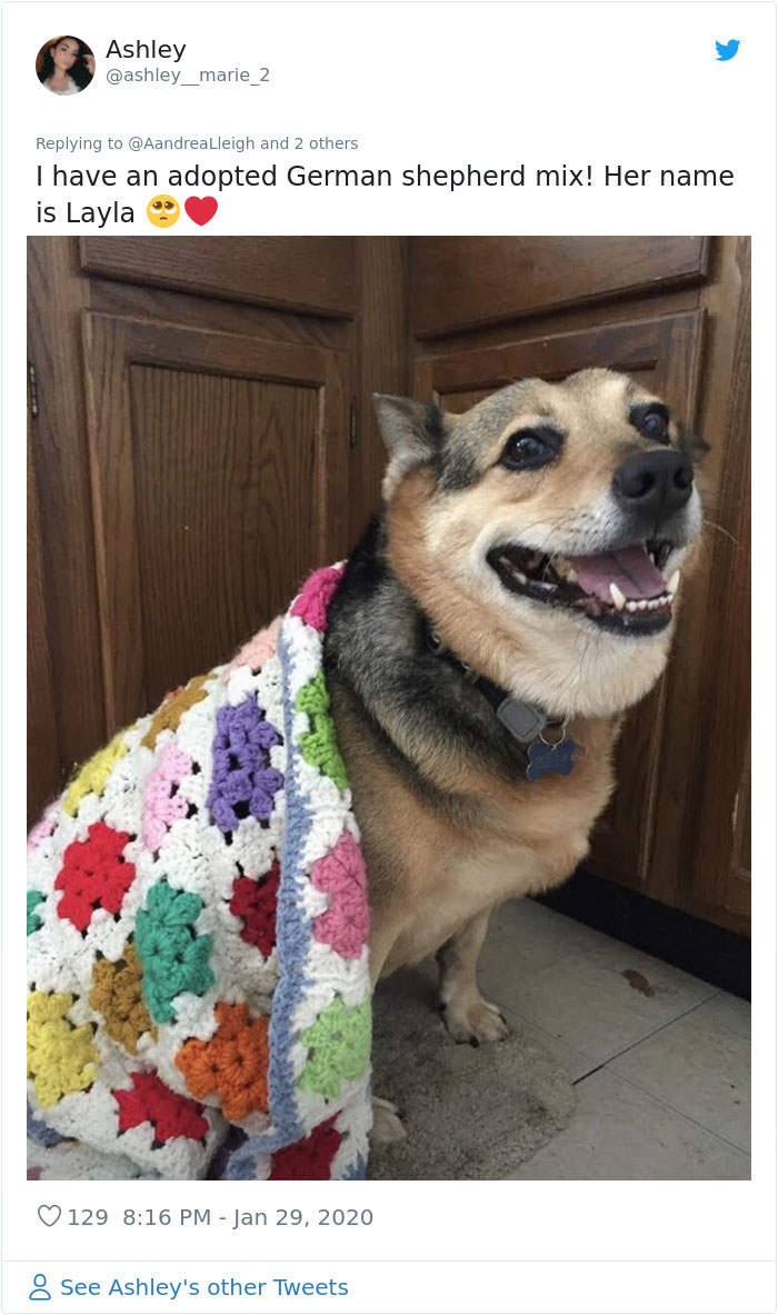 Retired Dad Walks Dogs In An Animal Shelter, Sends Bios Of Each One To His Daughter, People Adore Him Retired Dad Walks Dogs In An Animal Shelter, Sends Bios Of Each One To His Daughter, People Adore Him