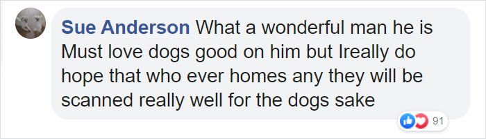 Super Bowl Winner Celebrates Victory By Paying The Adoption Fees Of Every Dog In A Shelter