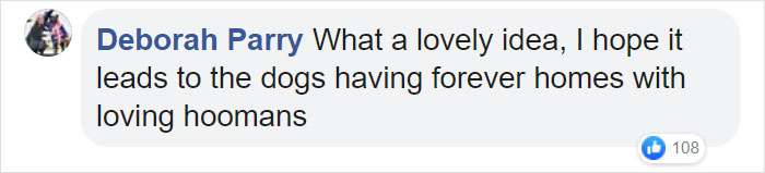 Super Bowl Winner Celebrates Victory By Paying The Adoption Fees Of Every Dog In A Shelter