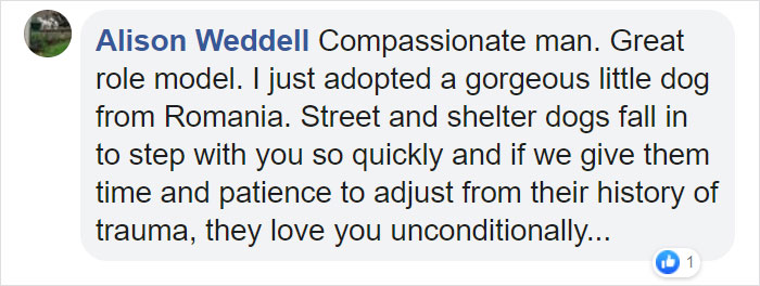 Super Bowl Winner Celebrates Victory By Paying The Adoption Fees Of Every Dog In A Shelter Super Bowl Winner Celebrates Victory By Paying The Adoption Fees Of Every Dog In A Shelter