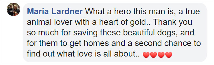 Super Bowl Winner Celebrates Victory By Paying The Adoption Fees Of Every Dog In A Shelter Super Bowl Winner Celebrates Victory By Paying The Adoption Fees Of Every Dog In A Shelter