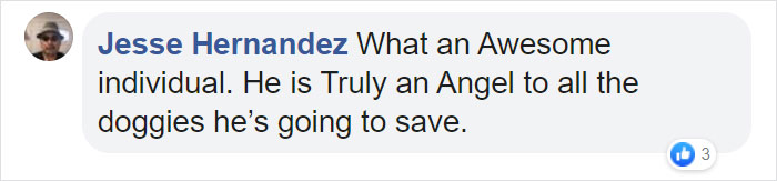 Super Bowl Winner Celebrates Victory By Paying The Adoption Fees Of Every Dog In A Shelter Super Bowl Winner Celebrates Victory By Paying The Adoption Fees Of Every Dog In A Shelter