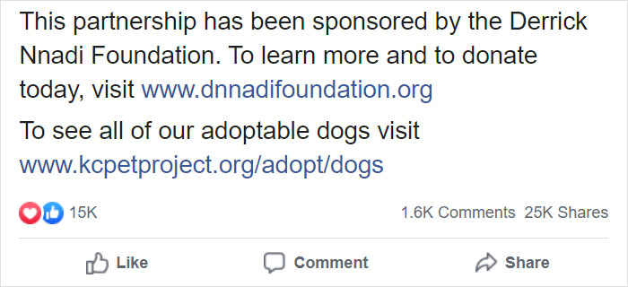 Super Bowl Winner Celebrates Victory By Paying The Adoption Fees Of Every Dog In A Shelter