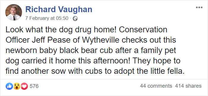 Dog Brings Home A Baby Animal, Turns Out It's A Bear Cub Dog Brings Home A Baby Animal, Turns Out It's A Bear Cub