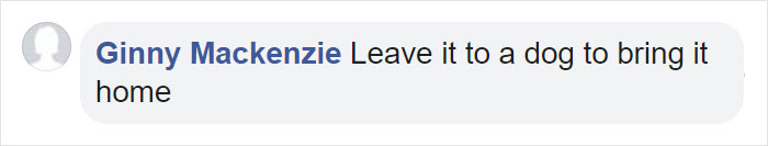 Dog Brings Home A Baby Animal, Turns Out It's A Bear Cub