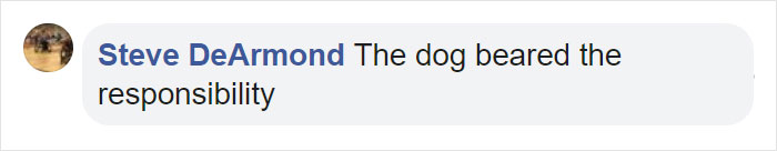 Dog Brings Home A Baby Animal, Turns Out It's A Bear Cub Dog Brings Home A Baby Animal, Turns Out It's A Bear Cub