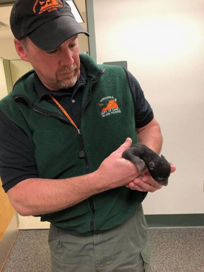 Dog Brings Home A Baby Animal, Turns Out It's A Bear Cub Dog Brings Home A Baby Animal, Turns Out It's A Bear Cub